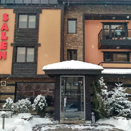ホテル Salena Boutique 3*